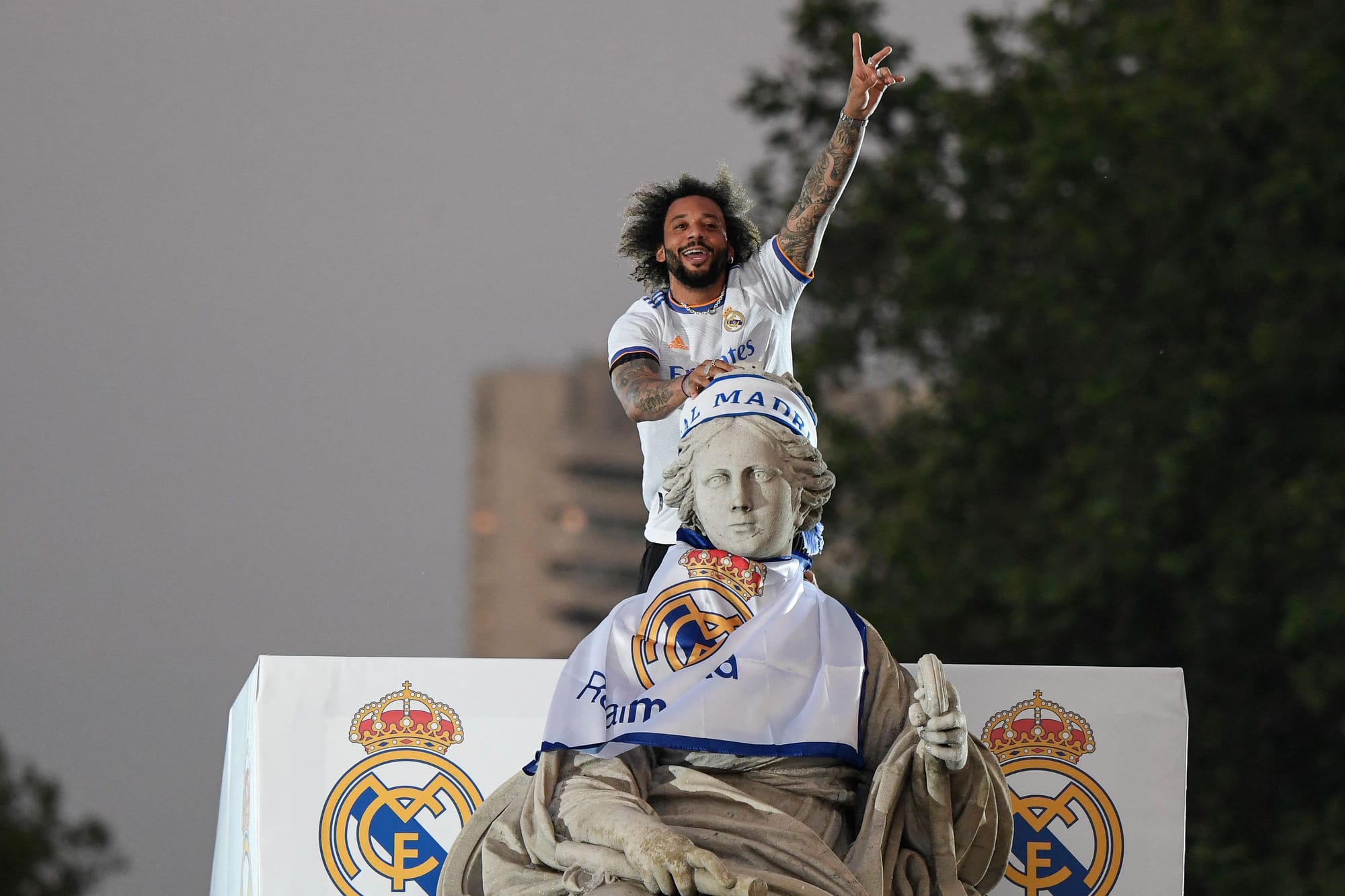 行及时的调 行及时的调